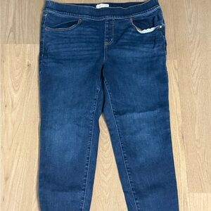 Lane Bryant Dark Blue Skinny Jeans